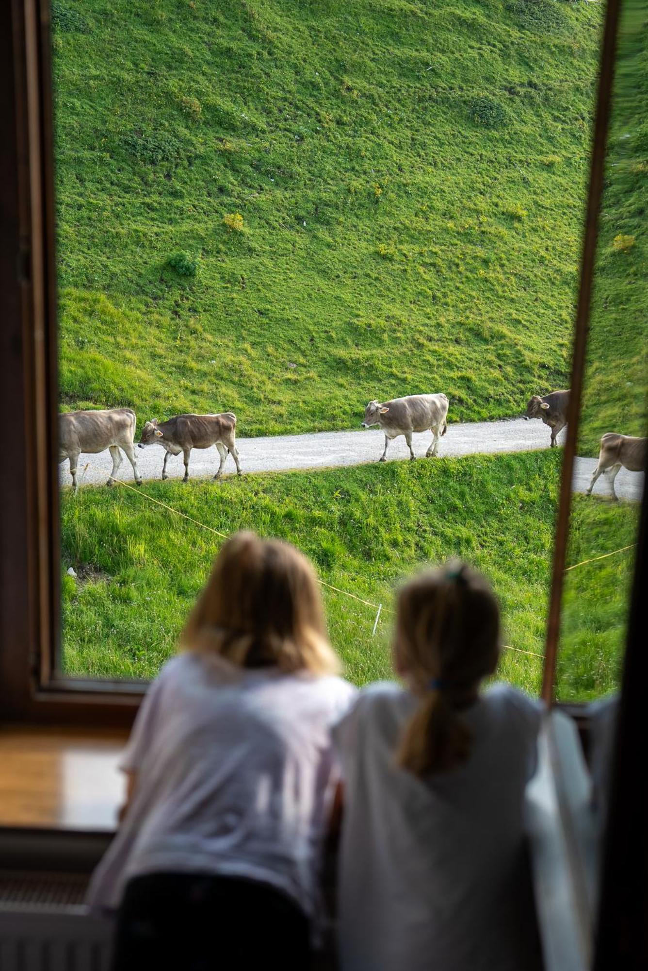 Hotel Alpen Arnika Tauplitzalm ภายนอก รูปภาพ