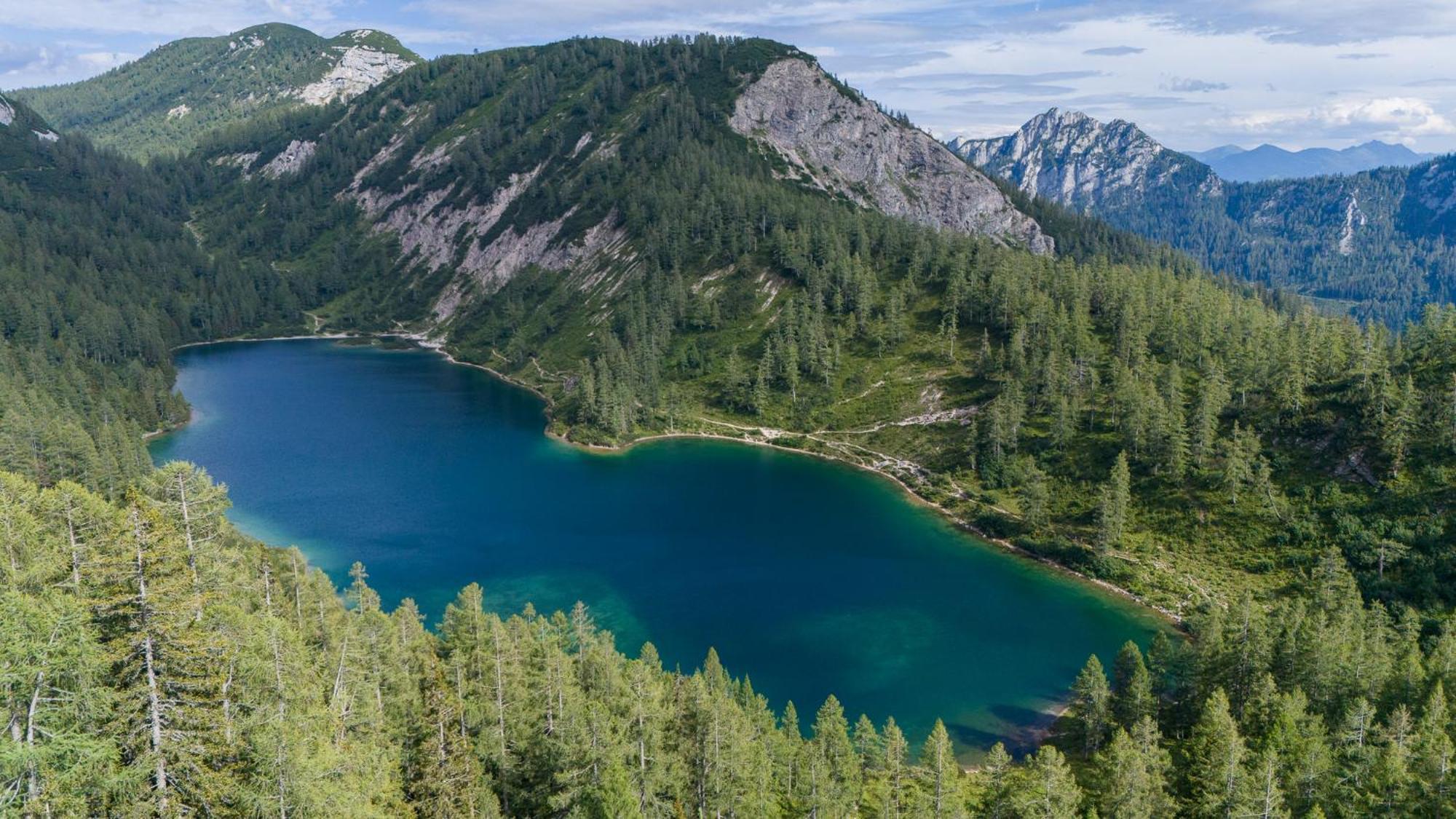 Hotel Alpen Arnika Tauplitzalm ภายนอก รูปภาพ