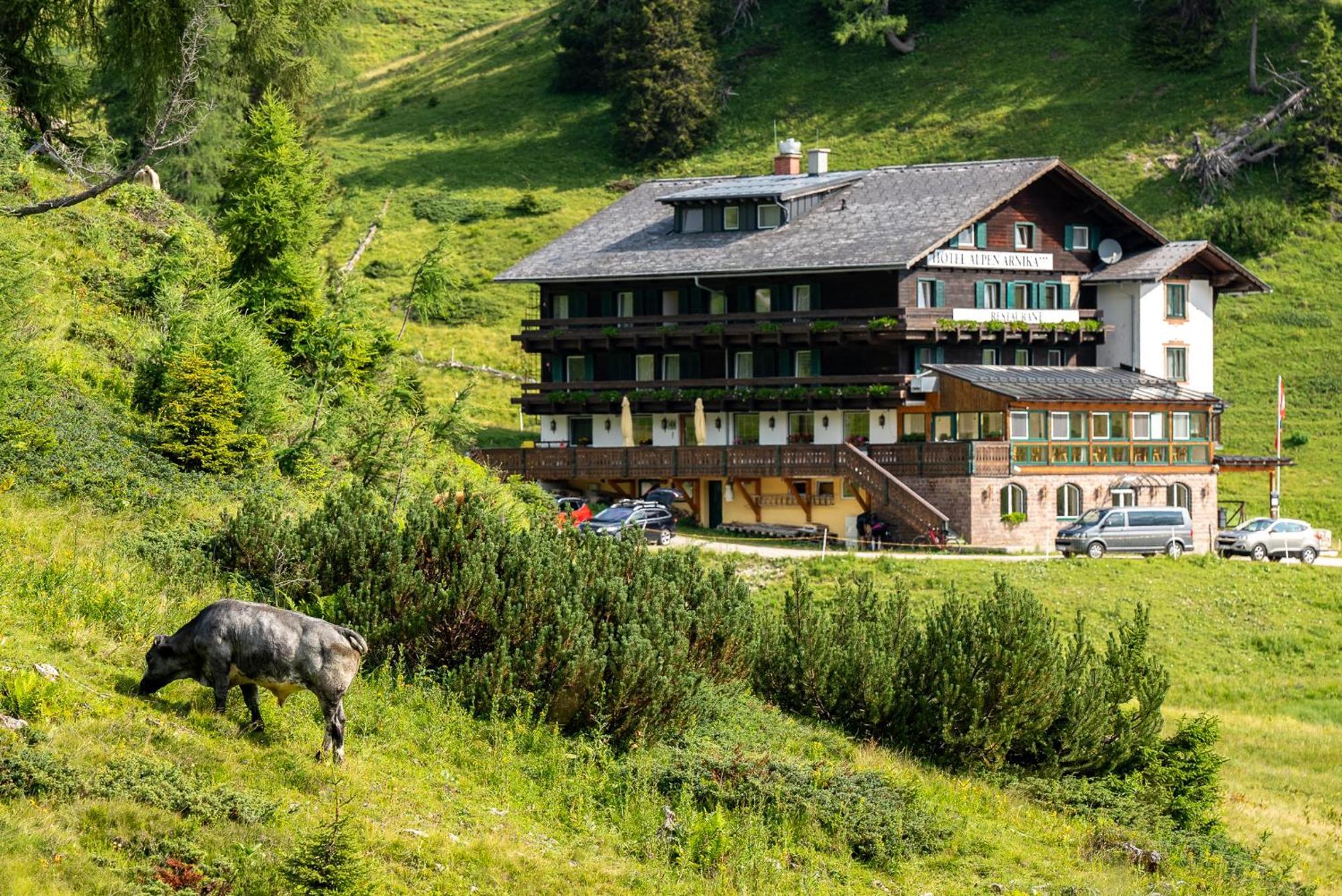 Hotel Alpen Arnika Tauplitzalm ภายนอก รูปภาพ